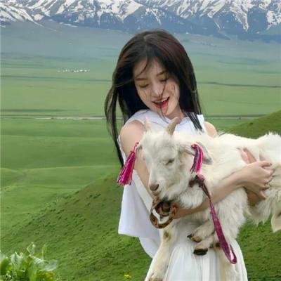 若问世界谁无伤
